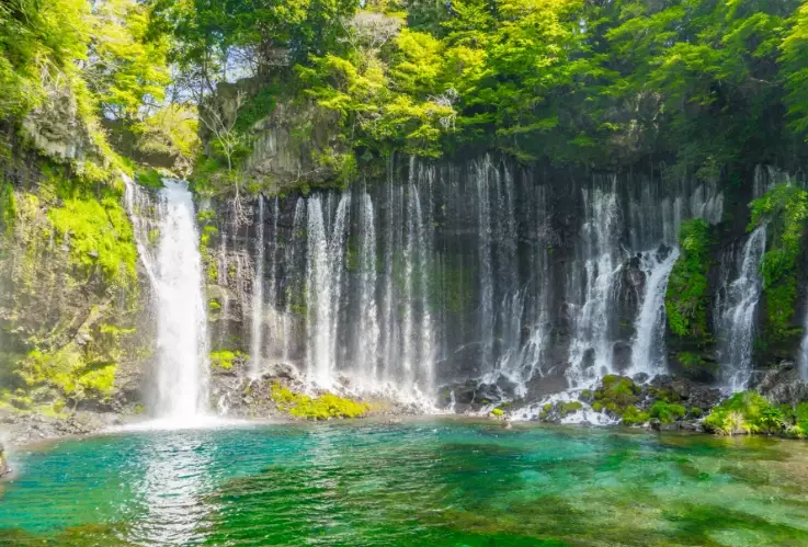 Shizuoka tourism for foreigners