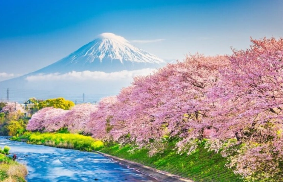 Shizuoka attractions