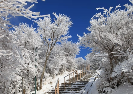 things to do in Beppu in winter things to do in Beppu in winter