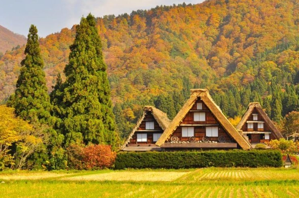 Unique places to see in japan