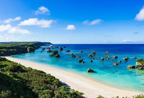 Exploring Osaka's Beaches: Your Complete Guide to Japan's Urban Beach Escape