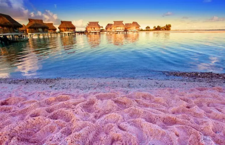 Pink Sand Beaches in Japan: A Complete Guide to Where & Why