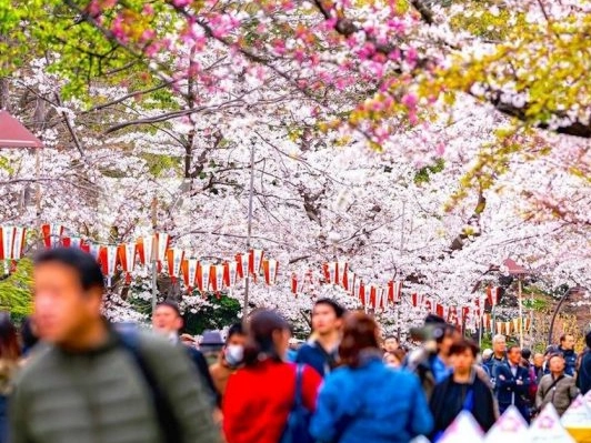 japan 14 day itinerary