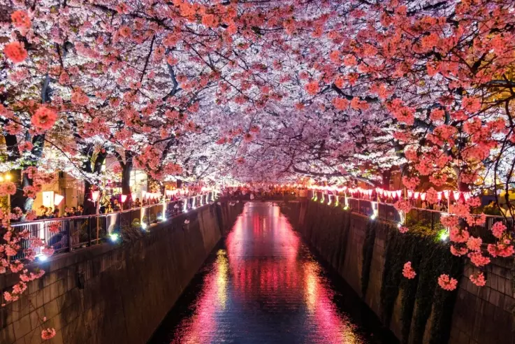 japan solo travel itinerary japan solo travel itinerary