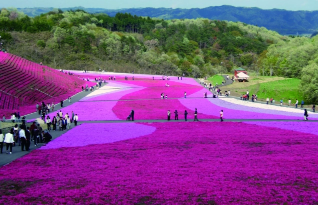 Discover Tochigi: Japan's Hidden Gem for Nature, History & Hot Springs
