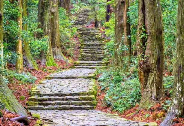 Japan Hiking Trails: A Guide to Epic Walks from Coast to Mountains