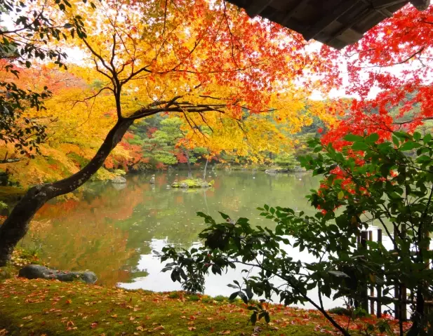 cheapest month to fly to japan