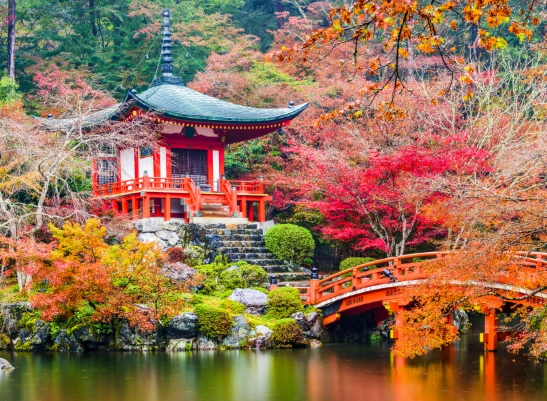 Travel Japan: Ultimate Guide for First-Timers with Itineraries & Tips
