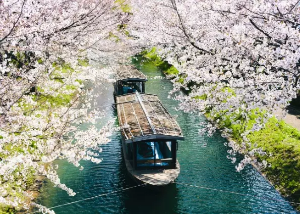 Cheapest Time to Visit Japan: A Budget Traveler's Seasonal Guide