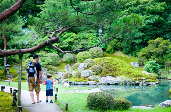 The Ultimate Japan Family Travel Guide: From Toddlers to Teens