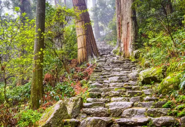 Japan mountain trails
