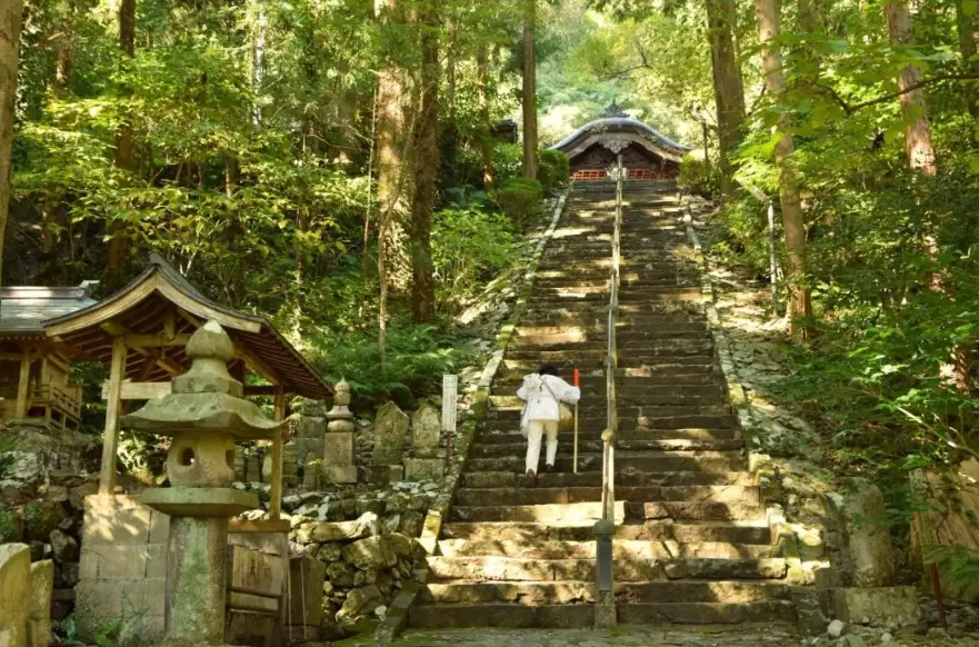 Shikoku Travel Guide: Best Attractions, Food & Itinerary Tips