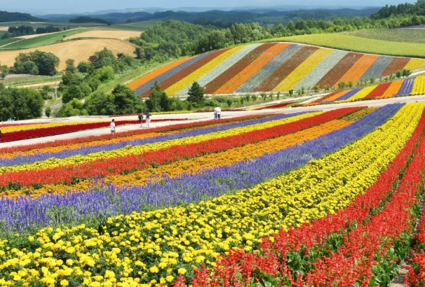 Hokkaido travel Hokkaido travel