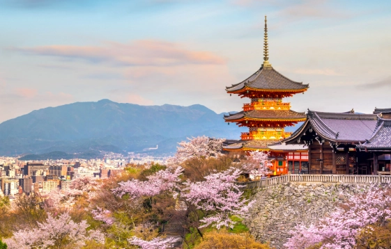 Ultimate Japan Travel Guide: Tips, Itineraries & Hidden Gems