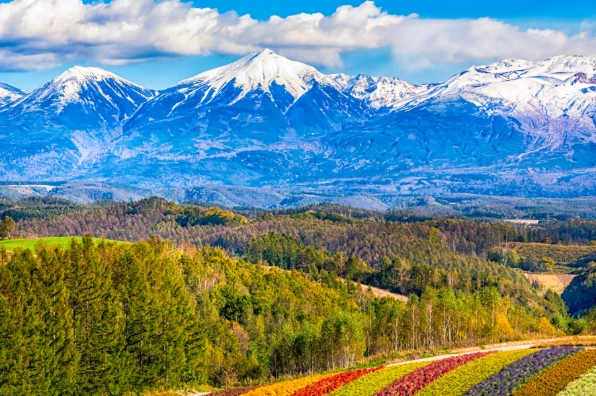 Hokkaido food Hokkaido food