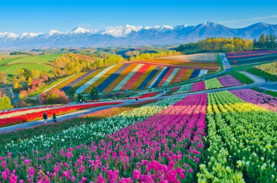 Hokkaido food Hokkaido food