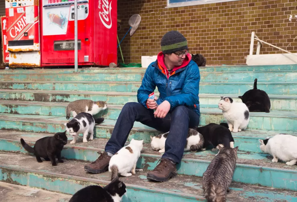 Tashirojima travel guide