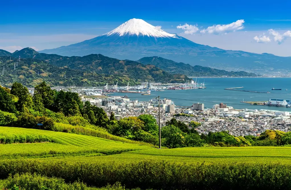 Shizuoka Travel Guide: Fuji Views, Green Tea & Coastal Delights