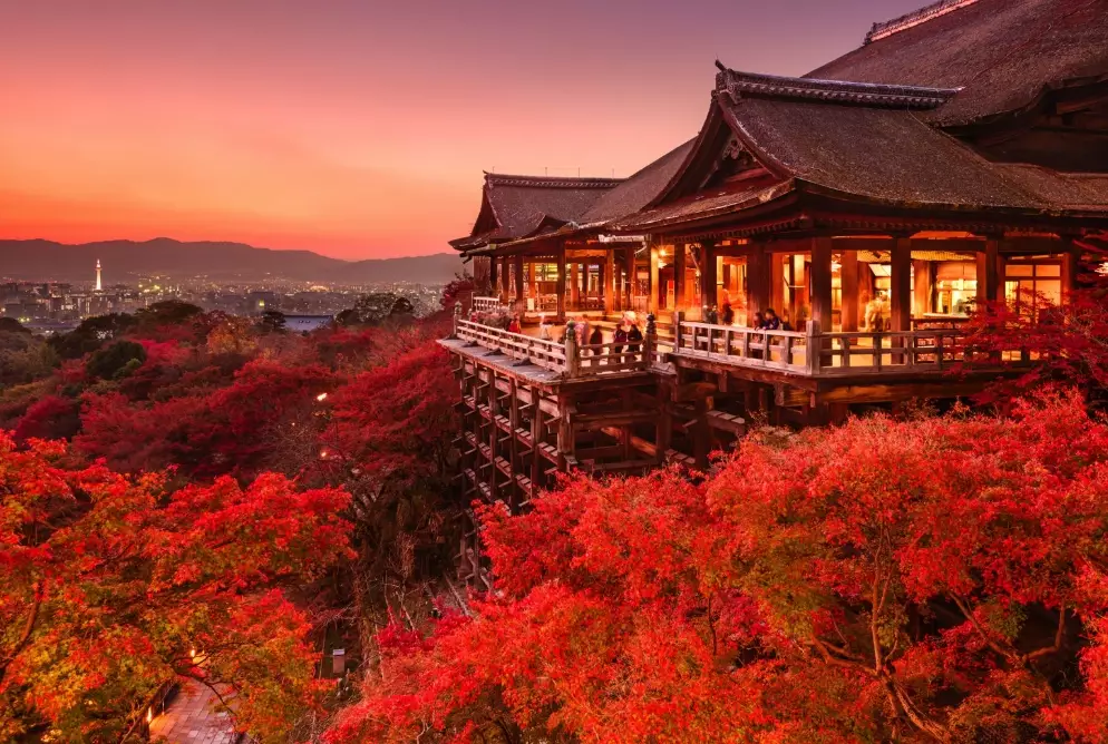 Kyoto Travel Guide: Expert Tips for Temples, Food & Culture
