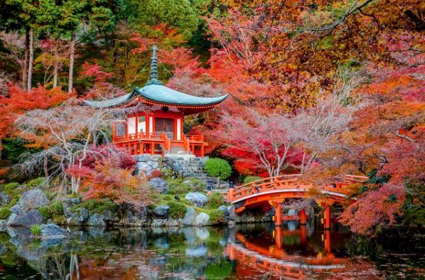 best places to see fall foliage in japan