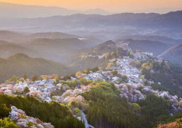 Mt. Yoshino Japan: Ultimate Travel Guide & Cherry Blossom Tips