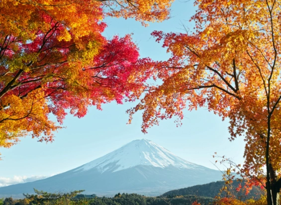 autumn in japan travel guide