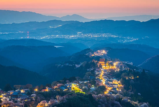 Yoshino cherry blossoms Yoshino cherry blossoms