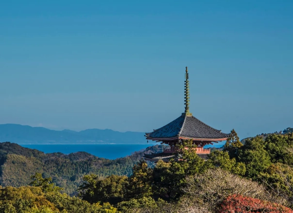 things to do in Shikoku things to do in Shikoku