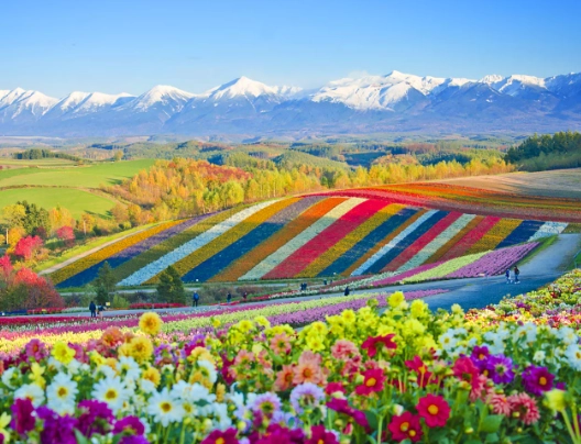 Hokkaido Japan Travel Guide: What to Do, See, and Eat