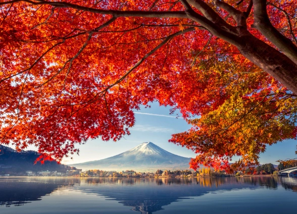 Autumn in Japan: A Complete Guide to Fall Colors, Food & Travel Tips