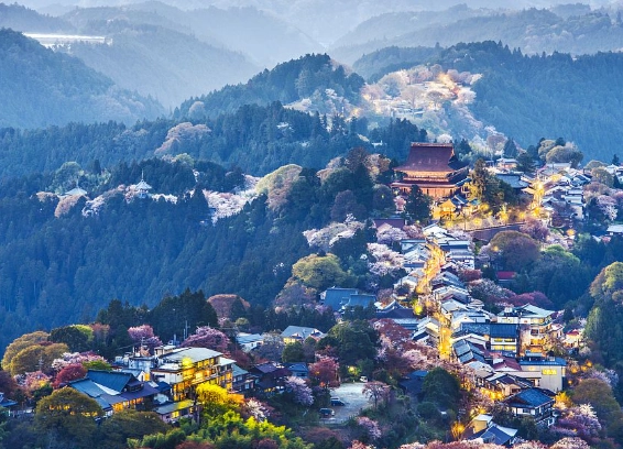 Mt. Yoshino Japan Mt. Yoshino Japan