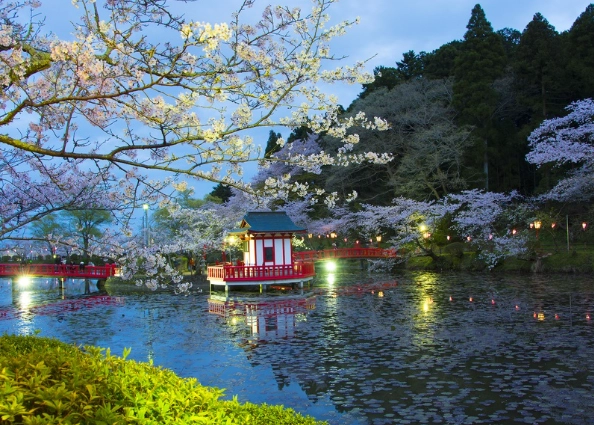 Discover Chiba: Tokyo's Neighbor with Beaches, Disney & Hidden Gems