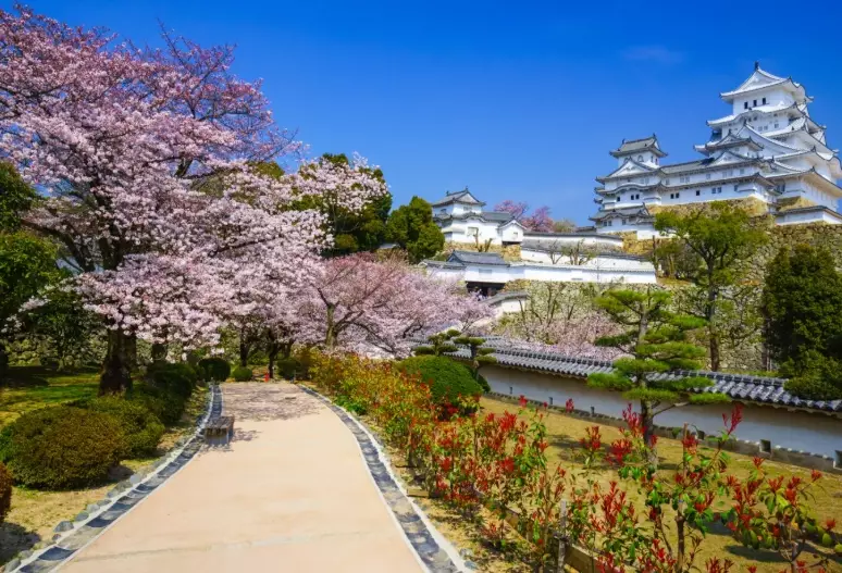 things to do in Kobe things to do in Kobe