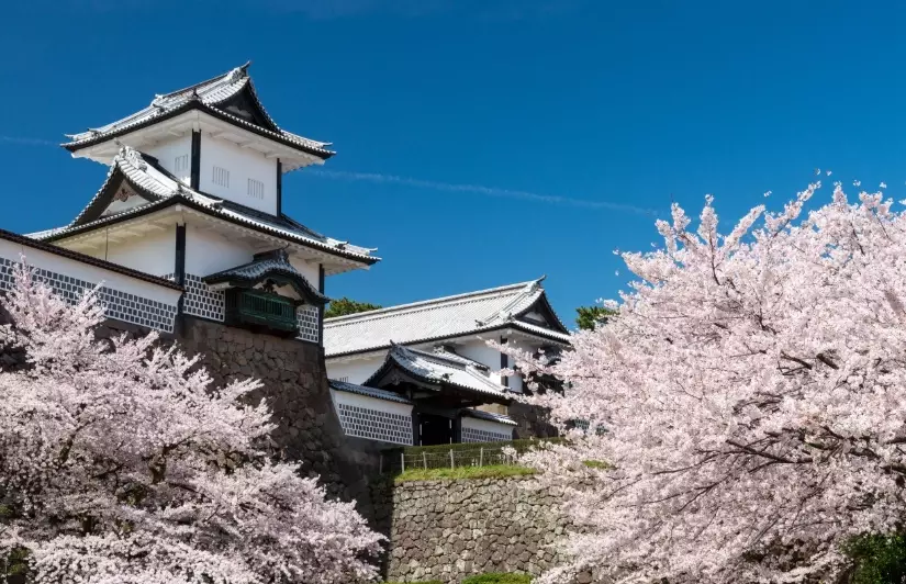 Kanazawa food Kanazawa food