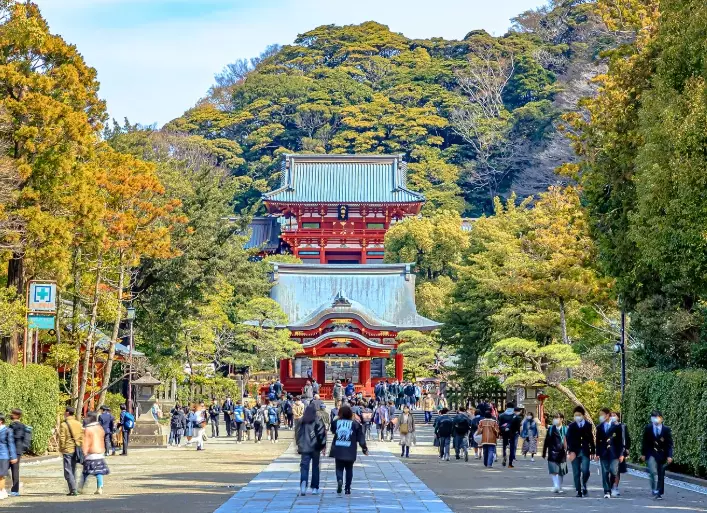 Kamakura Travel Guide: Temples, Food & Hidden Gems