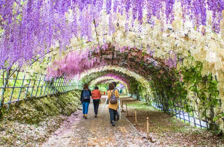 fukuoka travel guide fukuoka travel guide