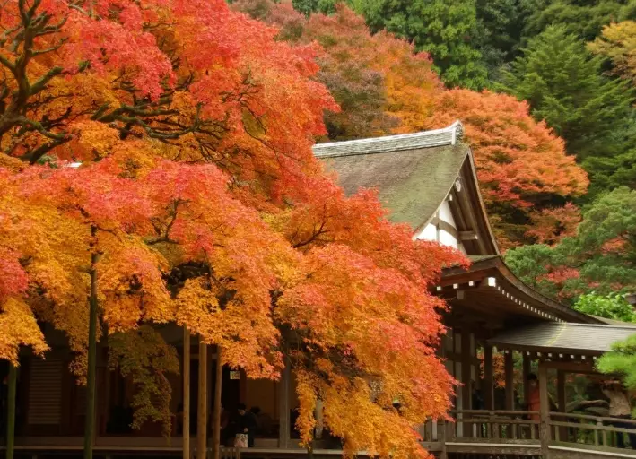 fukuoka attractions fukuoka attractions