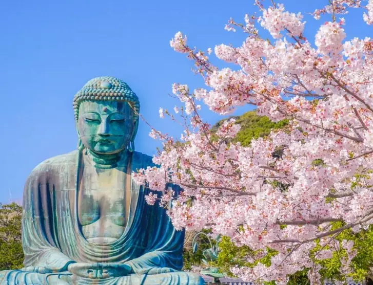 kamakura day trip kamakura day trip
