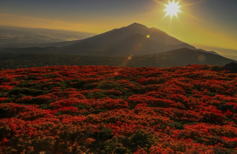 Iwate travel guide Iwate travel guide