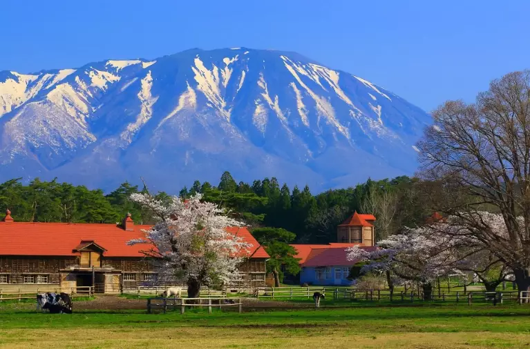 things to do in Iwate things to do in Iwate