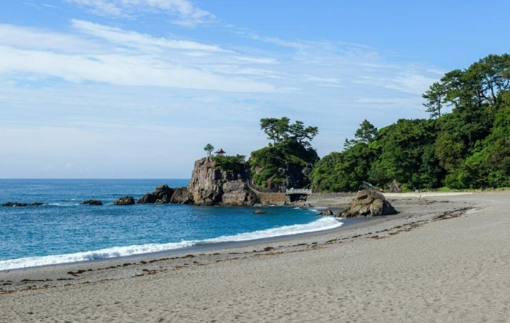 things to do in kochi japan