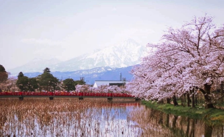 Discover Niigata Japan: A Travel Guide to Sake, Sado Island & Hidden Gems