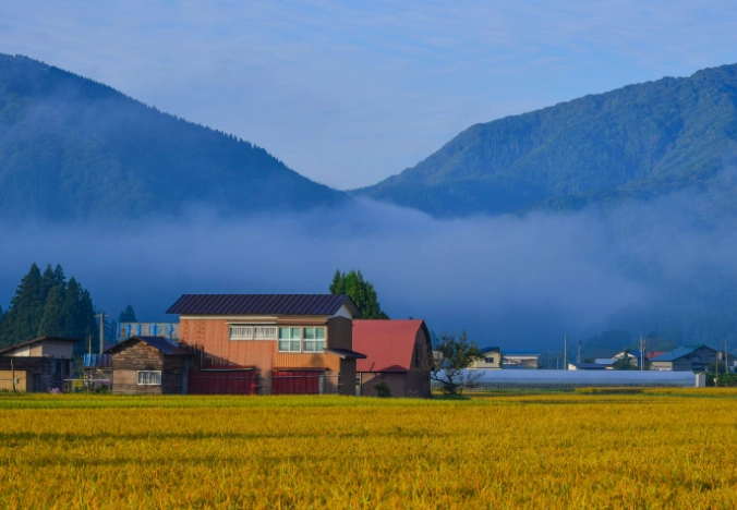 Discover Akita: Japan's Hidden Gem of Nature, Culture & Cuisine