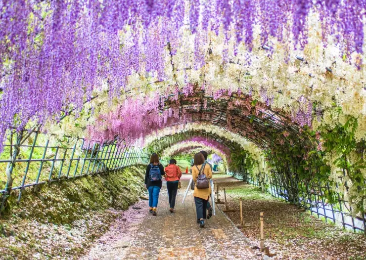 Fukuoka travel guide Fukuoka travel guide