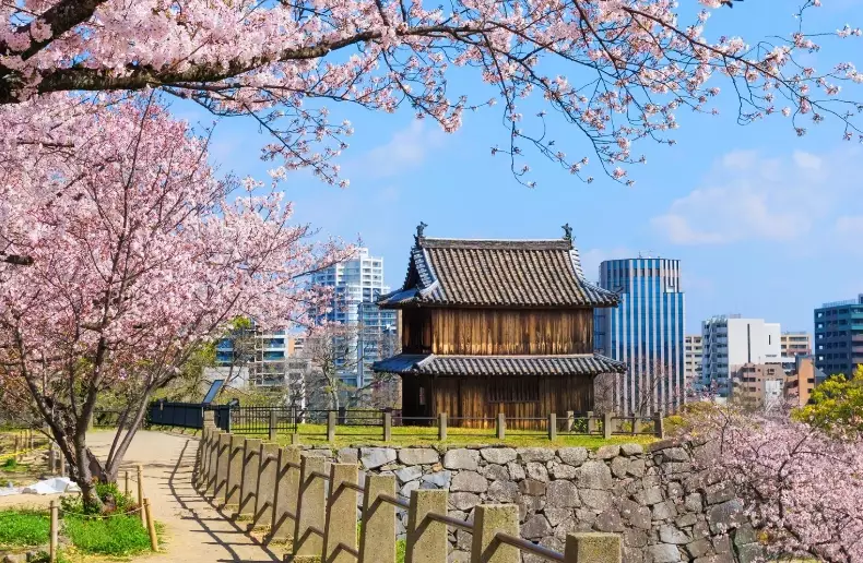 things to do in Fukuoka things to do in Fukuoka