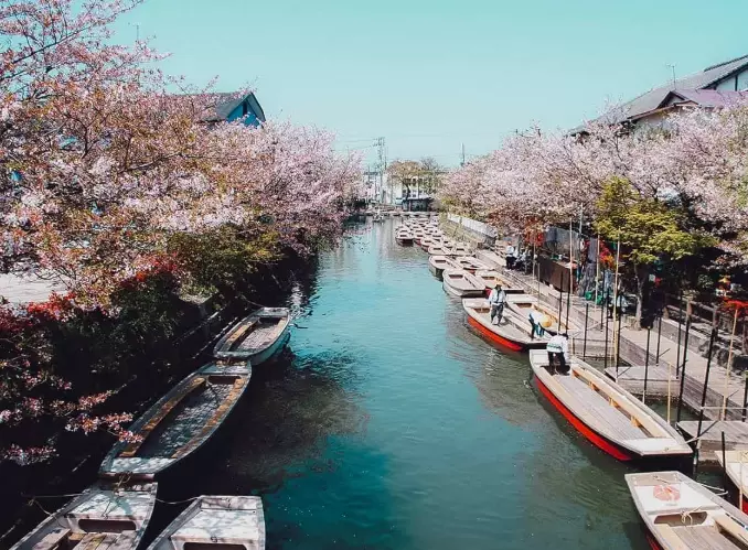 Ultimate Guide to Fukuoka Japan: Food, Culture & Hidden Gems