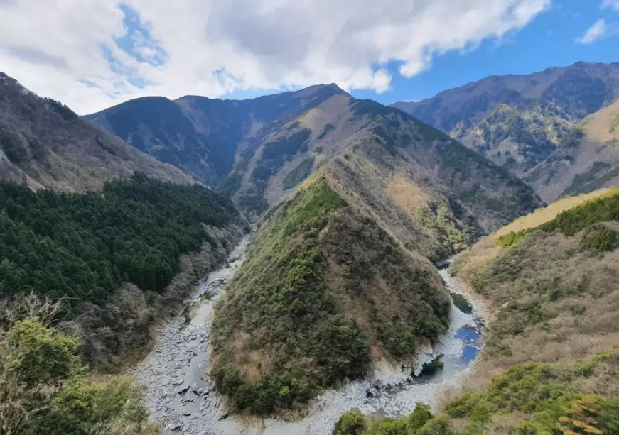 Awa Odori festival Awa Odori festival