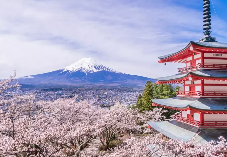 Fuji Japan Travel Guide: Itinerary, Hidden Gems & Expert Tips