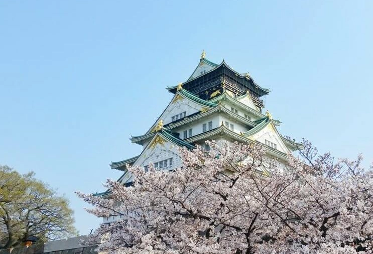 The Worst Time to Visit Japan: A Local's Guide to Avoiding Crowds & Bad Weather