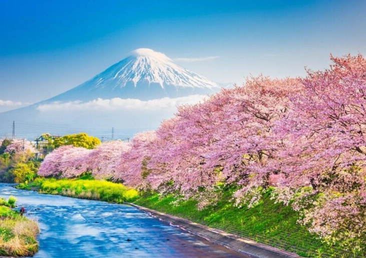 Best Time to Visit Japan: A Complete Temperature & Season Guide